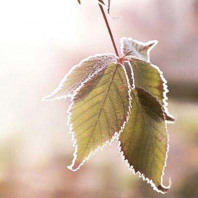 6566体育手机app下载